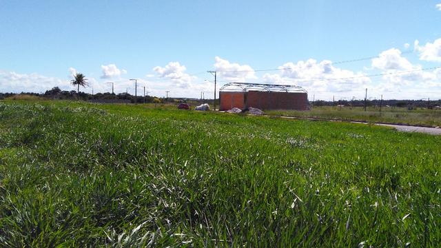 Lotes em Eunápolis, loteamento pronto pra morar, venda avista ou parcelada aproveite!! - Foto 7