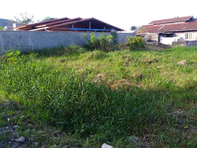 Excelente terreno na Praia de Zimbros / Bombinhas SC - 275 m2 - Foto 4