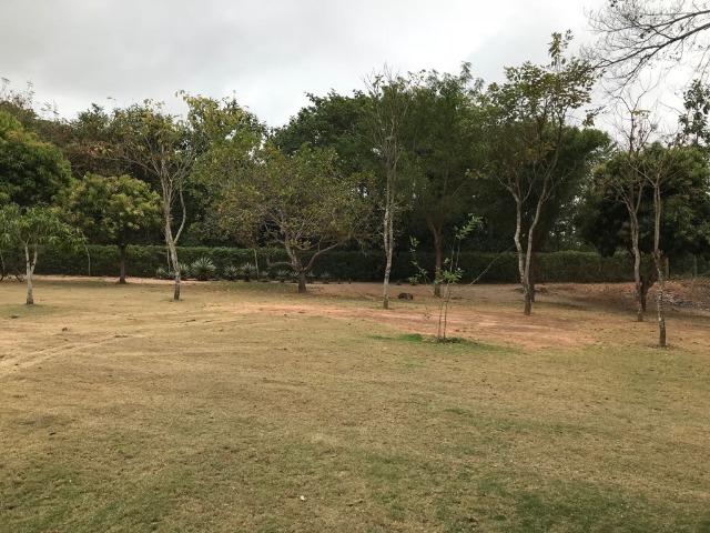 Pesqueiro 3 hectares á venda beira do rio jauru (caceres) - Foto 4