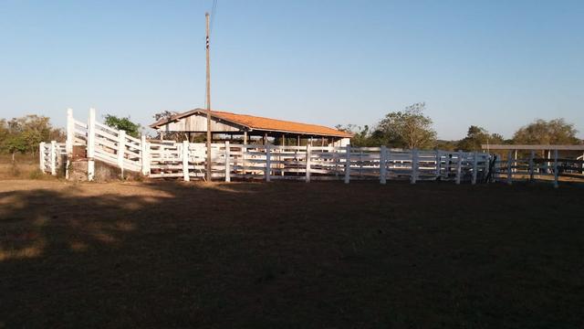 Fazenda 1.200 hectares á 20 km de Cuiabá - Foto 8