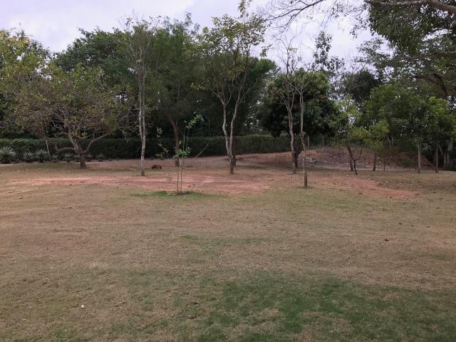 Pesqueiro 3 hectares á venda beira do rio jauru (caceres)