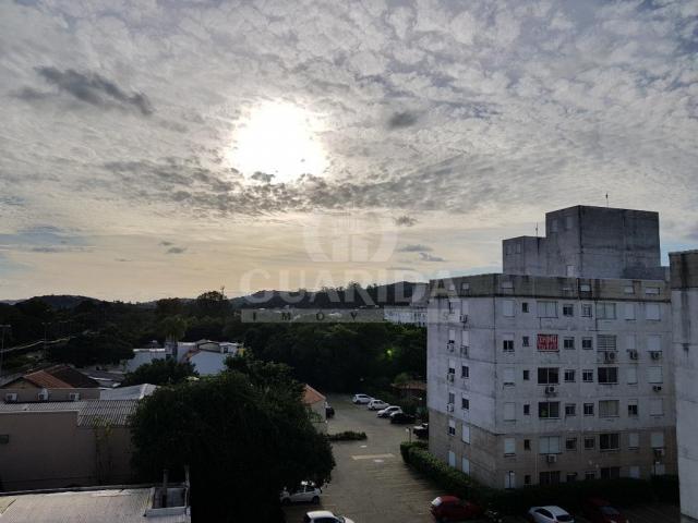 Apartamento à venda com 3 dormitórios em Cavalhada, Porto alegre cod:64079
