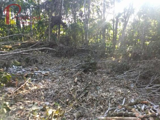 Sítio à venda em Vila itoupava, Blumenau cod:1854 - Foto 4