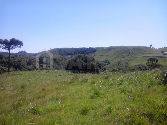 Terreno à venda em Fazenda souza, Caxias do sul cod:298 - Foto 6