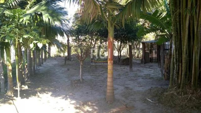 Casa à venda com 2 dormitórios em Guarita, Sombrio cod:LI50877361 - Foto 5