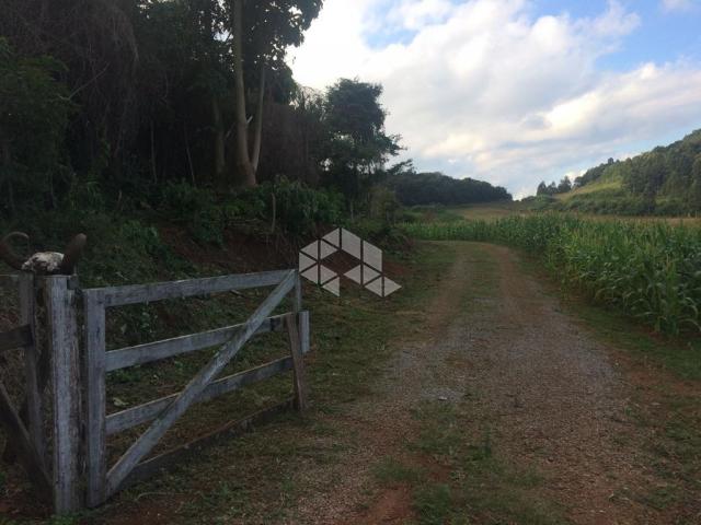 Chácara à venda em São luiz de castro, Boa vista do sul cod:9904527 - Foto 3