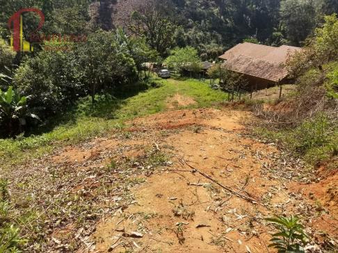 Sítio à venda em Ribeirão souto, Pomerode cod:1875 - Foto 8