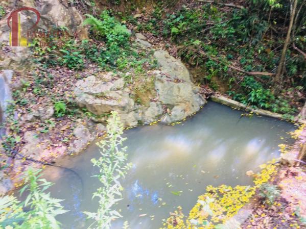Sítio à venda em Ribeirão souto, Pomerode cod:1875 - Foto 14