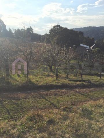 Casa à venda com 2 dormitórios em Fazenda souza, Caxias do sul cod:511 - Foto 7
