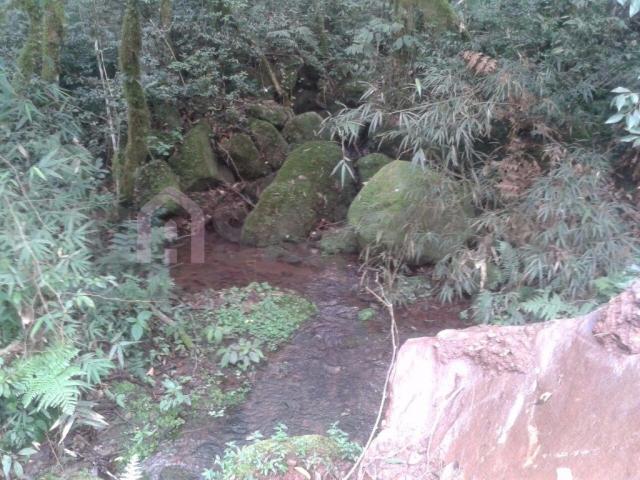 Terreno à venda em Vila oliva, Caxias do sul cod:1570 - Foto 2