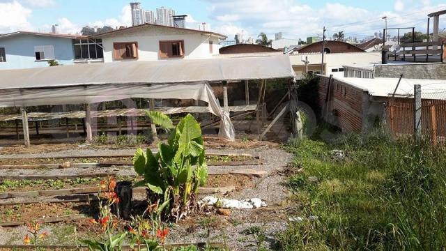 Terreno à venda em Pioneiro, Caxias do sul cod:644 - Foto 9