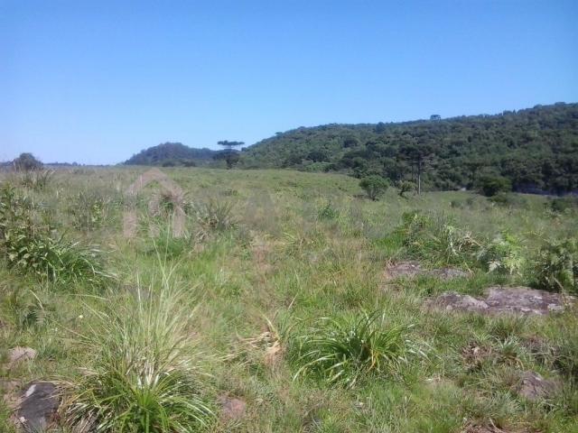 Terreno à venda em Fazenda souza, Caxias do sul cod:298 - Foto 4