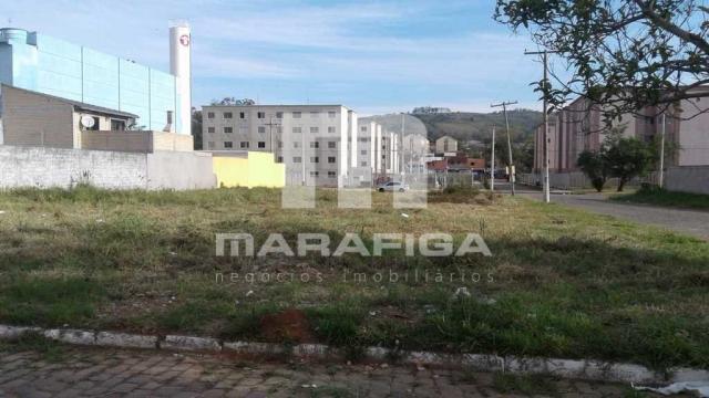 Terreno à venda em Jardim leopoldina, Porto alegre cod:6363