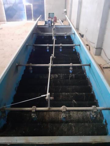 Máquina de lavas MAIS Arrancadeira de BATATAS - Foto 5