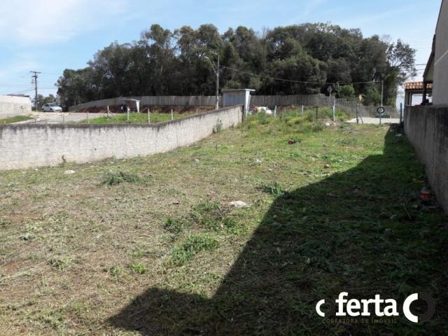 Terreno à venda em Fazenda velha, Araucária cod:557 - Foto 4
