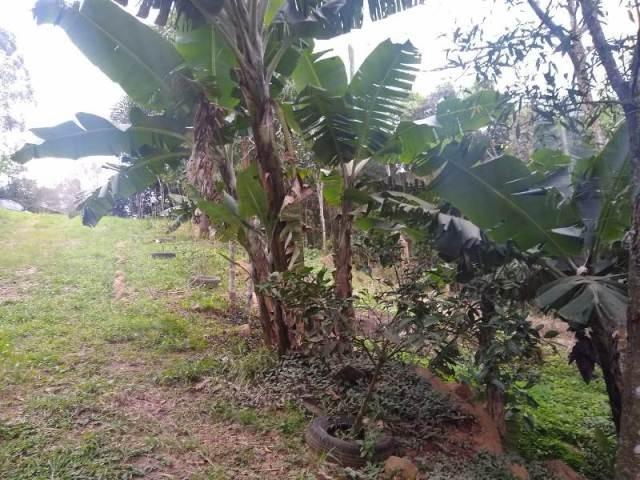 Bela sítio ótima casa próximo arroio pedra branca - Foto 12
