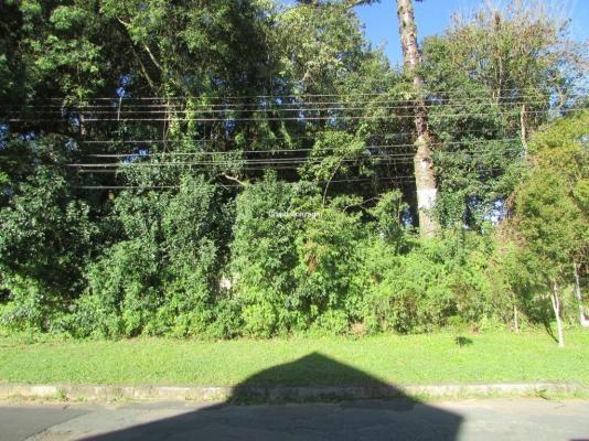 Terreno à venda em São lourenço, Curitiba cod:555