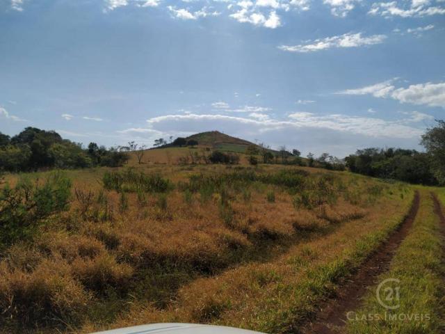 Fazenda Pecuária Santa Cecilia do Pavão PR - Foto 2