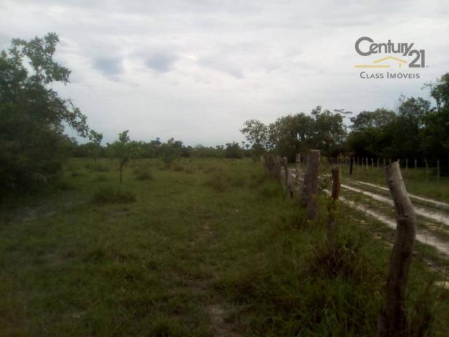754 há em Barras Piauí - Foto 4