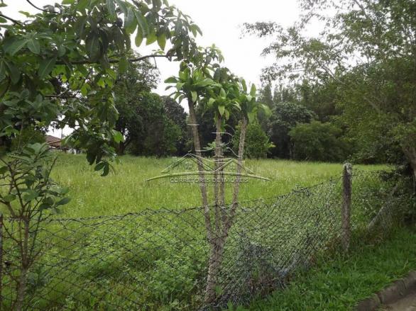 Terreno à venda em Ingleses, Florianópolis cod:394 - Foto 9