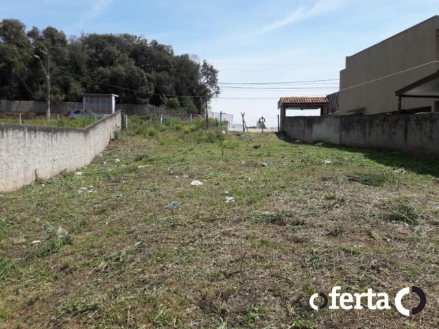 Terreno à venda em Fazenda velha, Araucária cod:557 - Foto 5