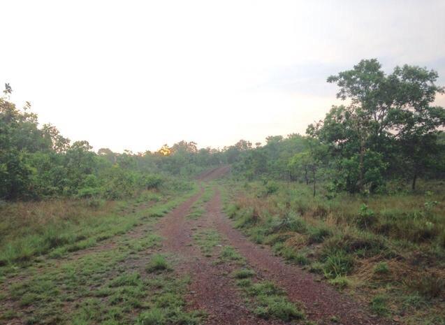 Fazenda Pedro Afonso-TO - Foto 7