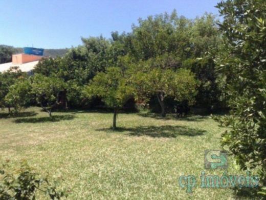 Terreno à venda em Protásio alves, Porto alegre cod:1498 - Foto 6