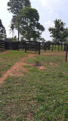 Chácara à venda por R$ 610.000 - Zona Rural - Teixeirópolis/RO - Foto 3
