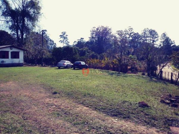 Sítio com 3 dormitórios à venda, 2000 m² por R$ 280.000 - Morungava - Gravataí/RS - Foto 4