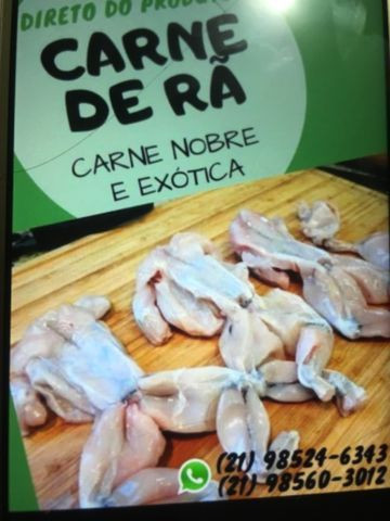 Carne de rã