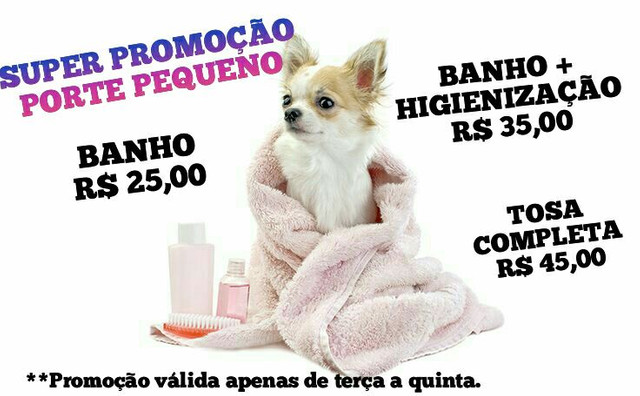 BANHO E TOSA