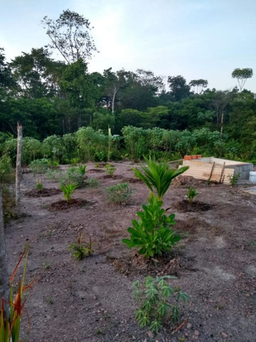 Vende-se um terreno - Foto 6