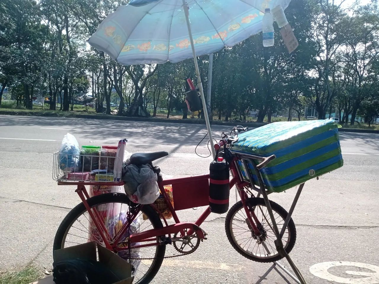 Bicicleta de carga para venda