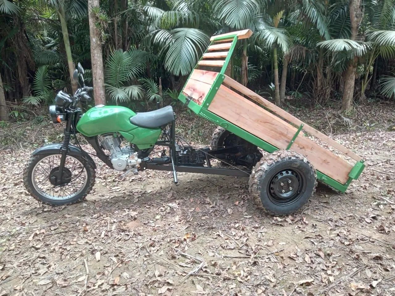 Moto Agrícola  - Foto 5