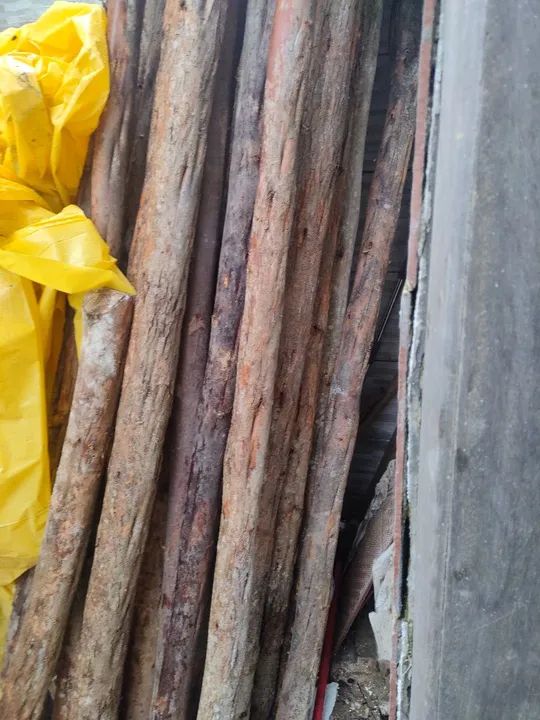 Madeiras de escoras eucalipto 