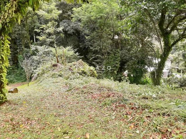 Terreno à venda, Limoeiro - Guapimirim/RJ - Foto 2