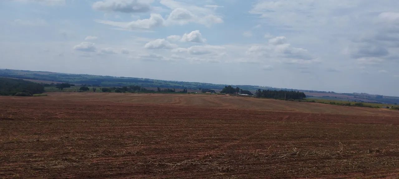Chácara 20.000 m2, entre  Presidente Castelo Branco e Floraí