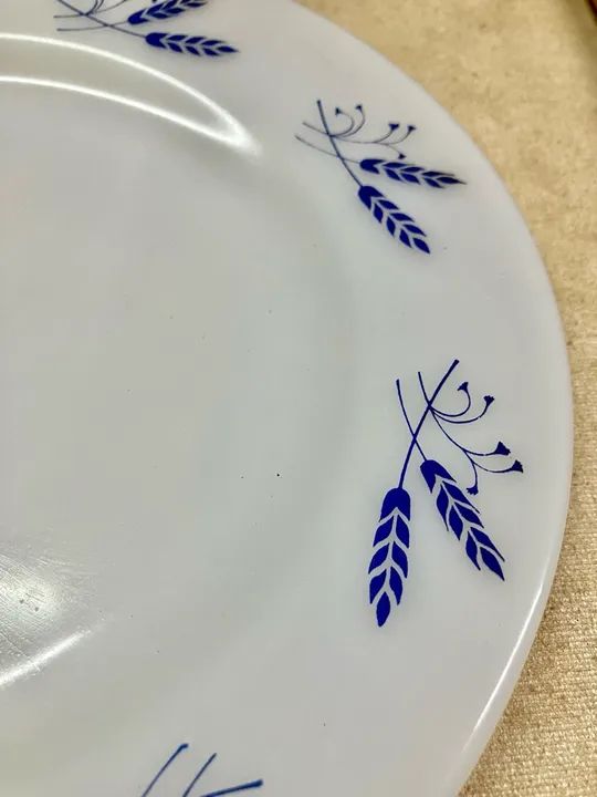 Termorey Triguinho - Foto 2