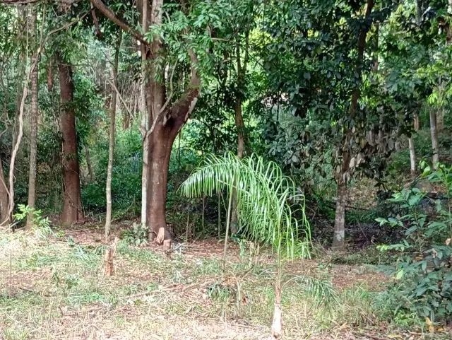Chácara 1250mts² Petrópolis Timóteo MG - Foto 4