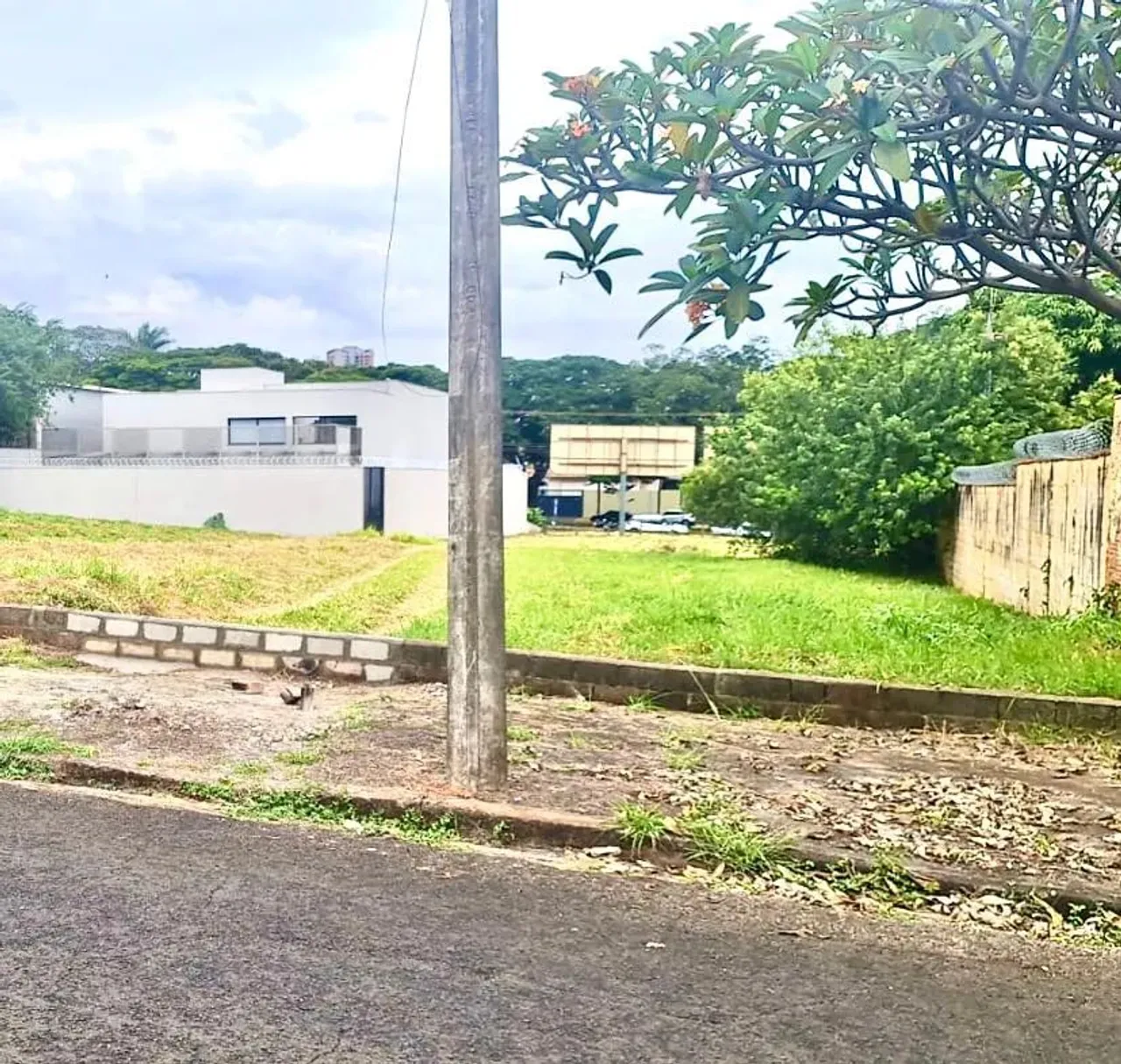 - Ribeirão Preto