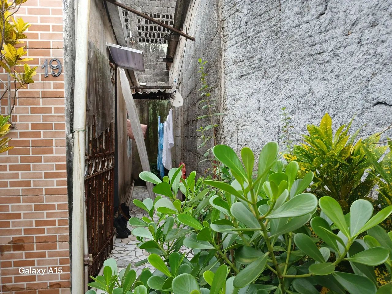 Foto - São Vicente - Parque São Vicente