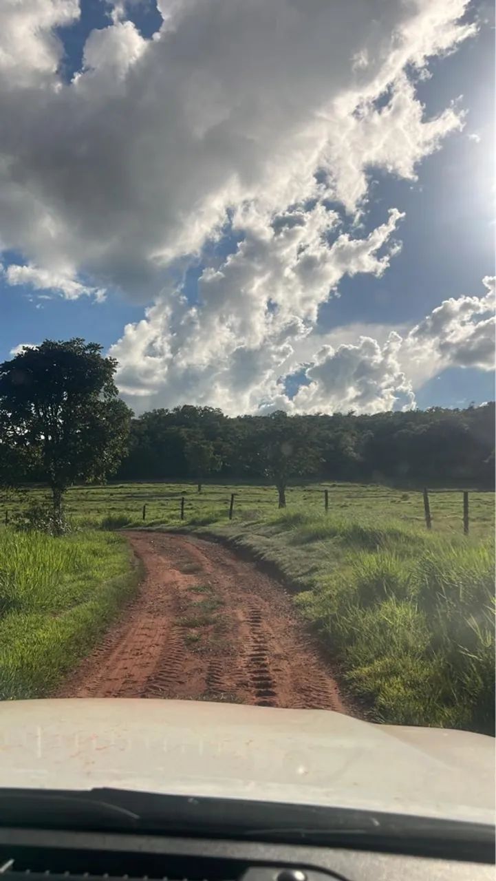 Fazenda dupla aptidão Gurinhata  - Foto 5