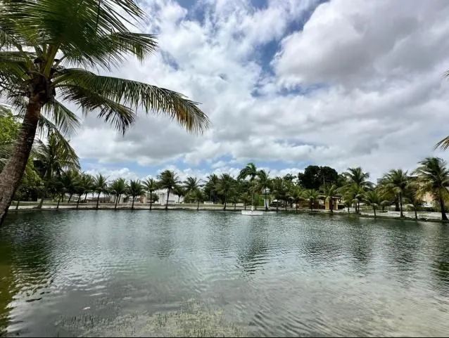 VENDO TERRENO EM CONDOMÍNIO FECHADO - Foto 4