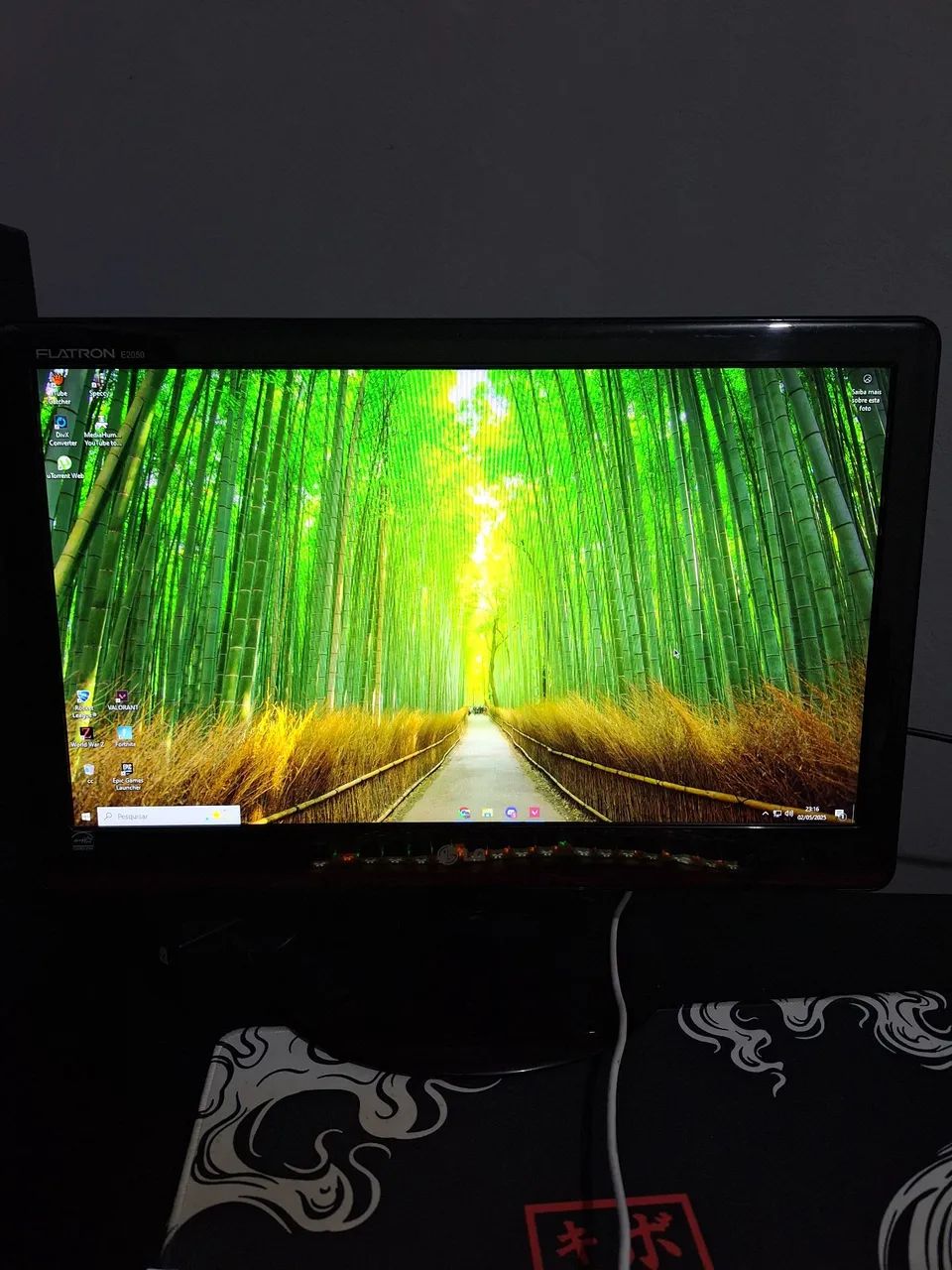 Monitor Lg 20 Polegadas Led Hd+ Widescreen Black Piano E2050 Preto