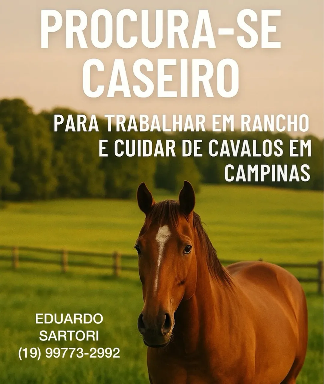Casal sem filhos cuidar rancho e dos cavalos em Campinas-São Paulo