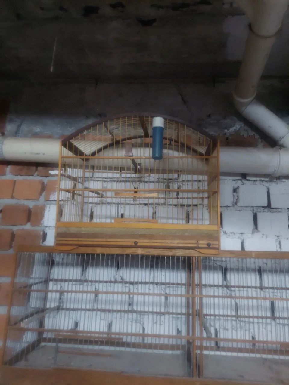 Gaiolas64304559533571124