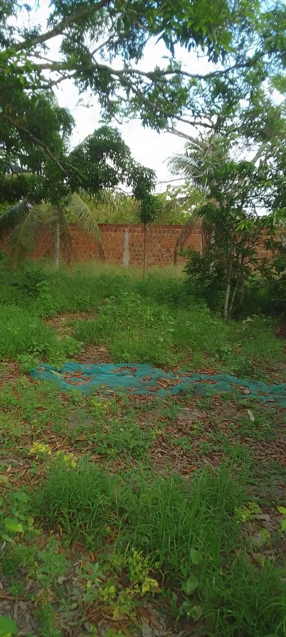 Vende-se terreno no Jardim Carolina