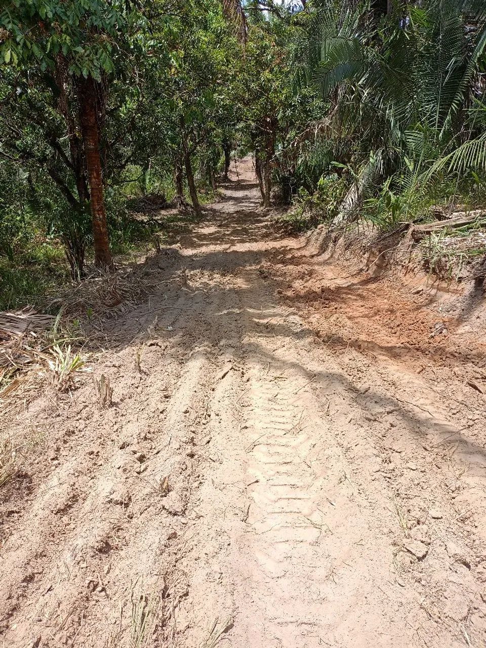 Foto - São Luís - Arraial