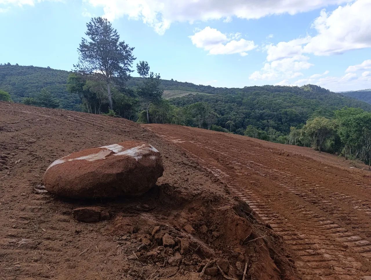 VENDO Lindo Terreno com 4000 m² - Bateias / Campo Largo - Foto 2