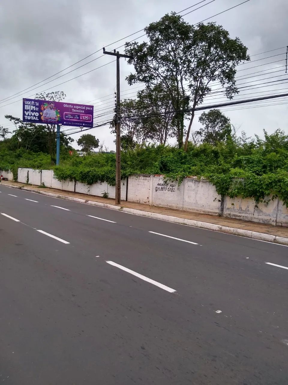 Área  para aluguel com 20000 metros na Av. Zequinha Freire, ao lado do Mix Atacarejo, Tere